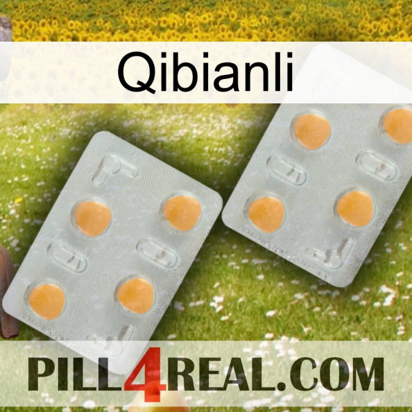 Qibianli 25